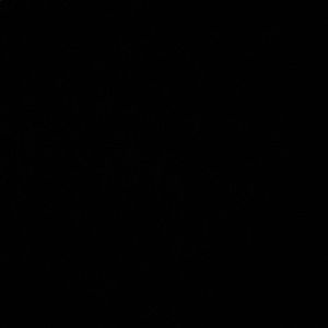 Meet your Posher, Ben